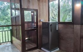 Green Herbal Ayurvedic Eco-Lodge